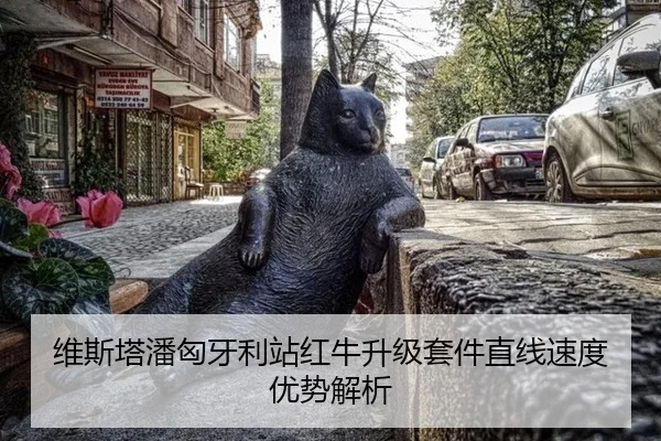 wei-si-ta-pan-xiong-ya-li-zhan-hong-niu-sheng-ji-tao-jian-zhi-xian-su-du-you-shi-jie-xi-2-332.jpg
