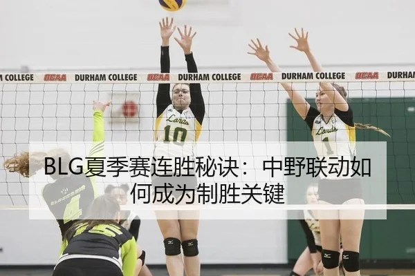 BLG夏季赛连胜秘诀：中野联动如何成为制胜关键