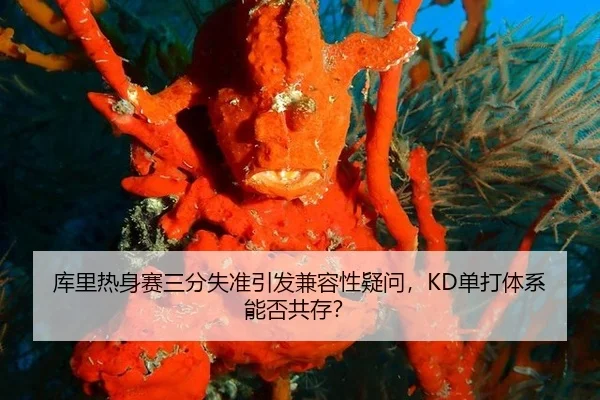 库里热身赛三分失准引发兼容性疑问，KD单打体系能否共存？